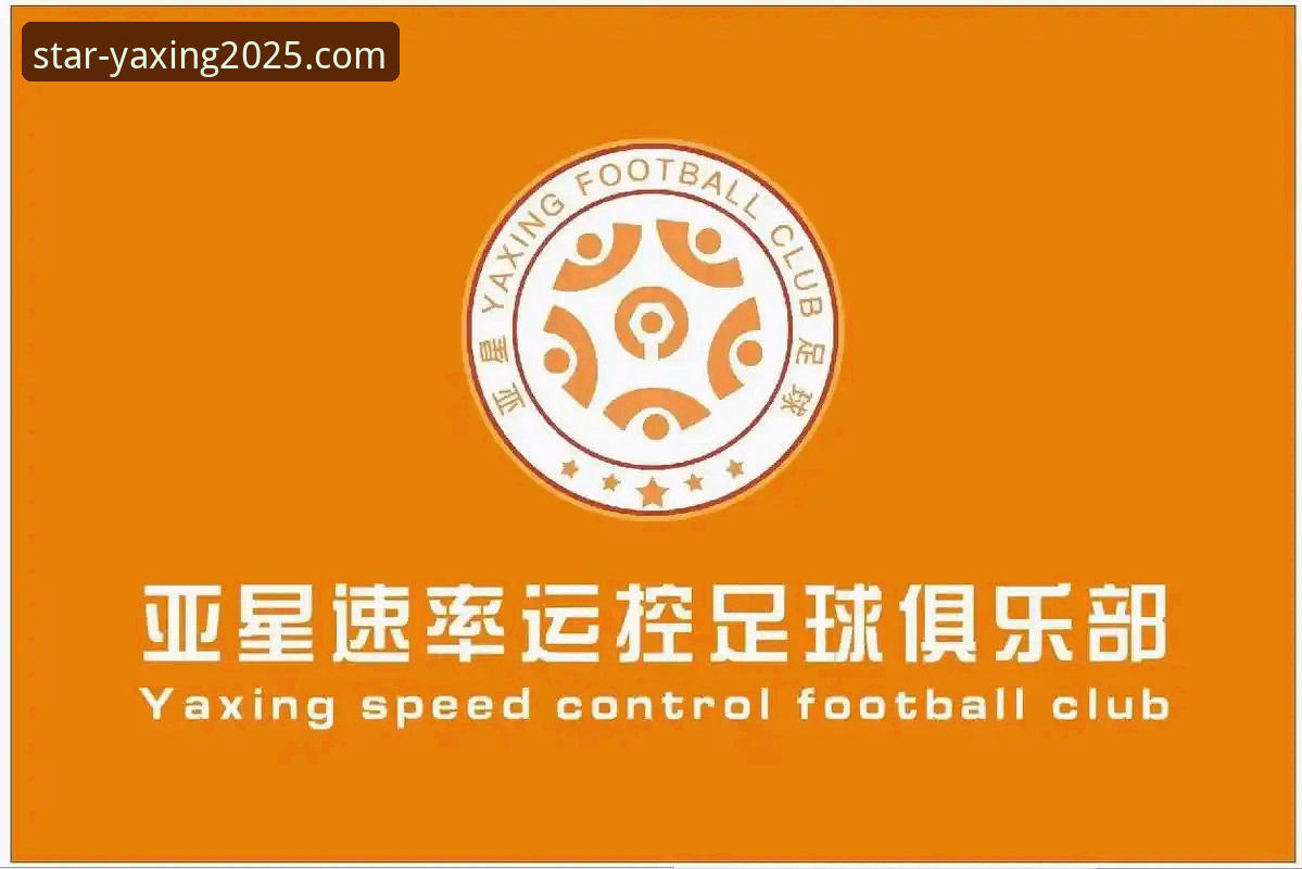 亚星体育平台2025新版全面评测：功能升级与官方支持深度解析